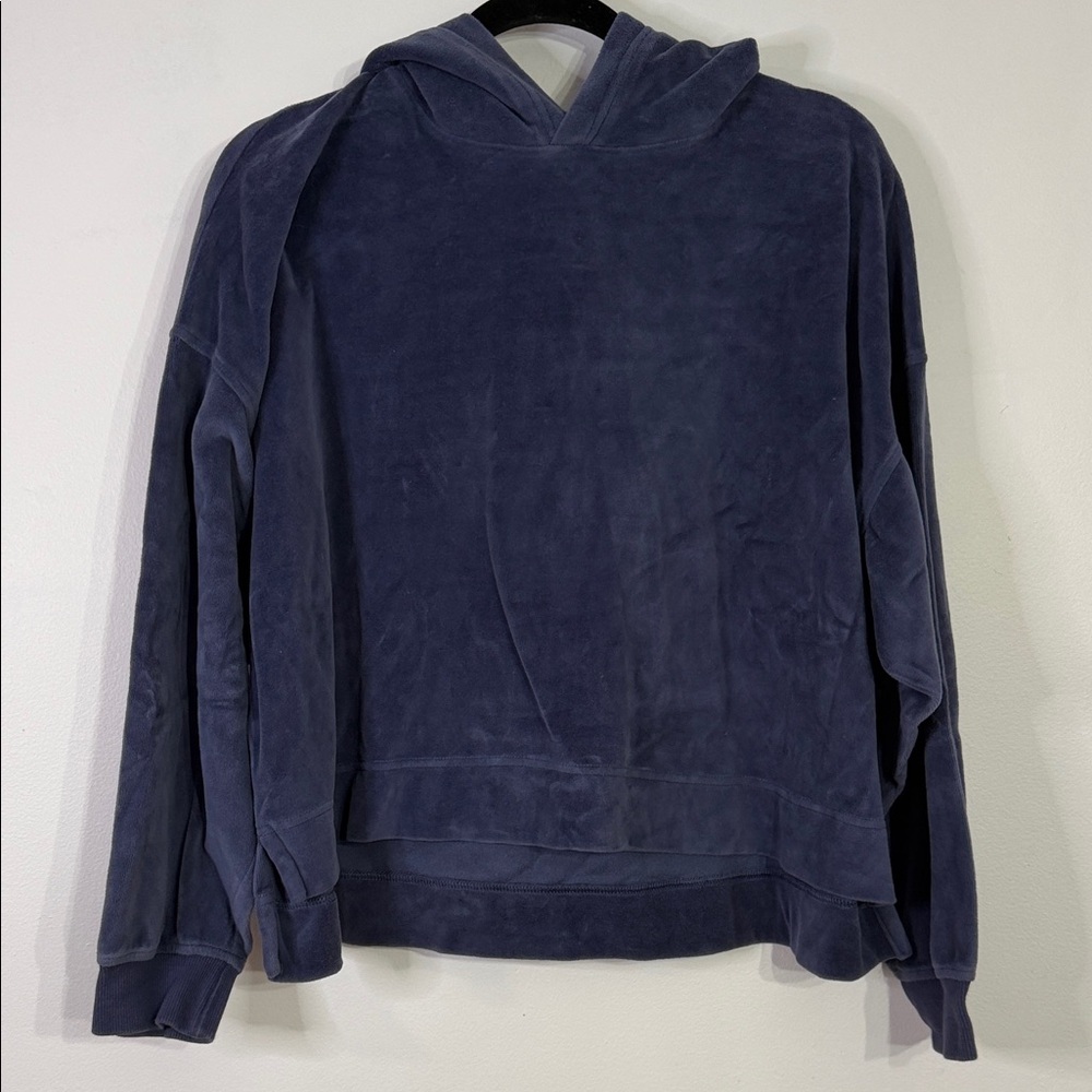 Aerie Oversized Velour Cropped Hoodie